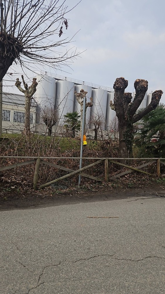 Ghemme, vandalizzati i cartelli stradali sul Lungo Mora
