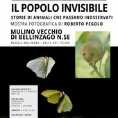 Bellinzago Novarese: al mulino vecchio la mostra fotografica di Roberto Pegolo
