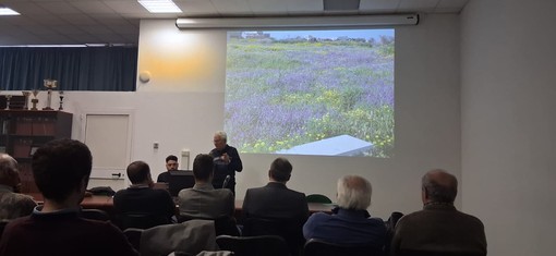 Apicoltura, confronto e prospettive al Bonfantini di Novara Apicoltura, confronto e prospettive al Bonfantini di Novara