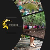 La cooperativa  Arnica gestirà le attività di educazione ambientale del Parco Ticino e Lago Maggiore