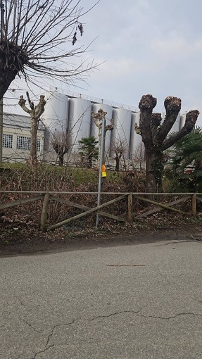 Ghemme, vandalizzati i cartelli stradali sul Lungo Mora