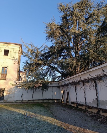 Nuova vita al Pomario di Villa Picchetta: tornano i meli antichi e le viti storiche
