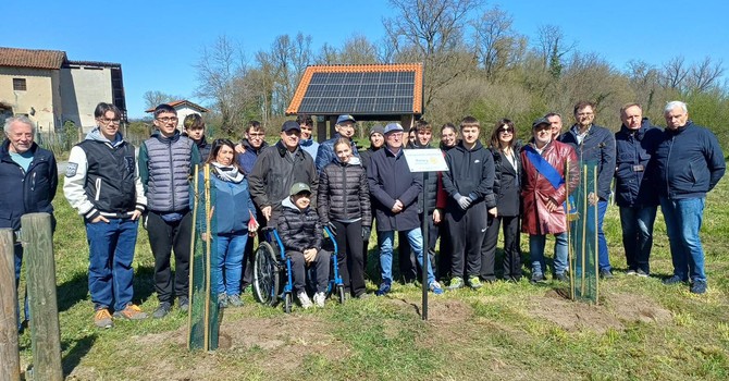 Piantumazione al Mulino Vecchio: un gesto concreto per l’ambiente Piantumazione al Mulino Vecchio: un gesto concreto per l’ambiente