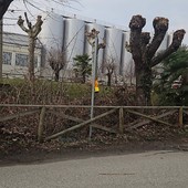 Ghemme, vandalizzati i cartelli stradali sul Lungo Mora