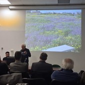 Apicoltura, confronto e prospettive al Bonfantini di Novara