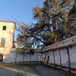 Nuova vita al Pomario di Villa Picchetta: tornano i meli antichi e le viti storiche