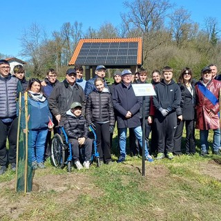 Piantumazione al Mulino Vecchio: un gesto concreto per l’ambiente