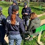Novara: controlli serrati in centro, 144 persone identificate nel servizio interforze