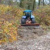 Parco Ticino Lago Maggiore, interventi di manutenzione lungo la sponda del Sesia