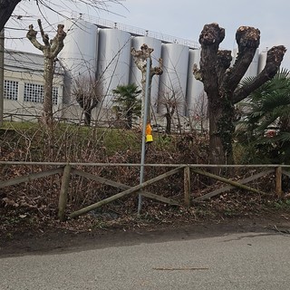 Ghemme, vandalizzati i cartelli stradali sul Lungo Mora