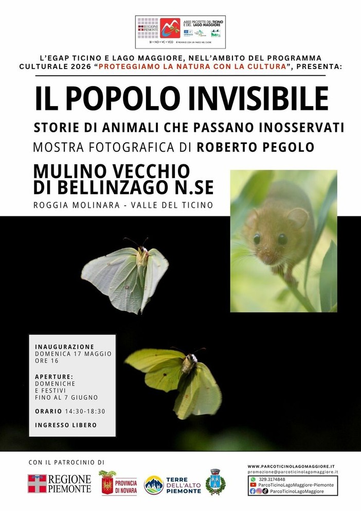 Bellinzago Novarese: al mulino vecchio la mostra fotografica di Roberto Pegolo Bellinzago Novarese: al mulino vecchio la mostra fotografica di Roberto Pegolo