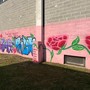 Street art a Varallo Pombia, i ragazzi ridisegnano gli spazi della scuola