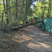 Pianta cade sulla pista ciclopedonale, interviene l'Aib di Gozzano Pianta cade sulla pista ciclopedonale, interviene l'Aib di Gozzano