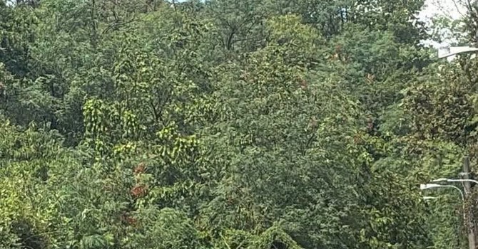Maltempo a Varallo Pombia, strade riaperte dopo gli interventi: risolto anche il guasto all’acqua