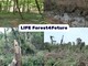 Cameri investe sui boschi: oltre 200 mila euro per il progetto LIFE Forest4Future  Sottotitolo