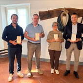 Casalino punta sul suo riso: nuovo logo e un piano per valorizzare il territorio