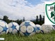 Promozione, esordio casalingo per l'Arona