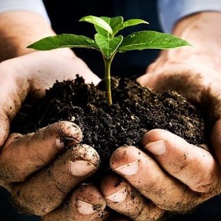 Confagricoltura Piemonte: &quot;Infortuni sul lavoro in calo. L'agricoltura in prima linea nella difesa dei suoi lavoratori”
