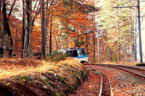 L'autunno continua a splendere in Valle con la Ferrovia Vigezzina
