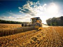 Servizio civile agricolo, otto posti nel Novarese tra Egap, Bonfantini e Museo Fanchini Servizio civile agricolo, otto posti nel Novarese tra Egap, Bonfantini e Museo Fanchini