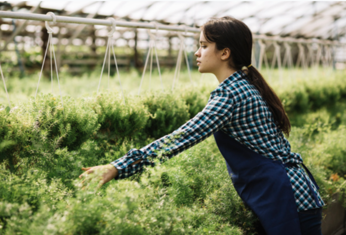 Servizio civile agricolo: due posti disponibili al Parco di Cameri