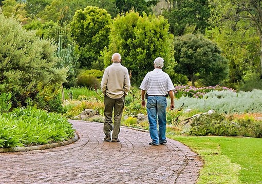 Invecchiamento attivo in Piemonte: i sindacati chiedono più risorse e dialogo Invecchiamento attivo in Piemonte: i sindacati chiedono più risorse e dialogo