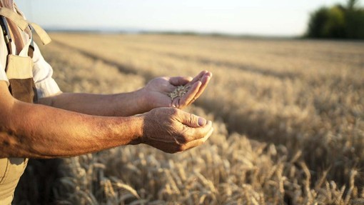 Coldiretti Piemonte, coltiva Italia: riconosciuta la strategicità della nostra agricoltura