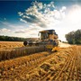 Servizio civile agricolo, otto posti nel Novarese tra Egap, Bonfantini e Museo Fanchini