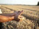 Coldiretti Piemonte, coltiva Italia: riconosciuta la strategicità della nostra agricoltura