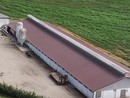 Scatta la seconda fase di contenimento della peste suina nel novarese