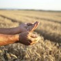 Coldiretti Piemonte, coltiva Italia: riconosciuta la strategicità della nostra agricoltura
