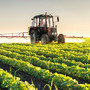 Coldiretti Piemonte: "Dall'Europa segnali preoccupanti su salute e agricoltura" Coldiretti Piemonte: "Dall'Europa segnali preoccupanti su salute e agricoltura"