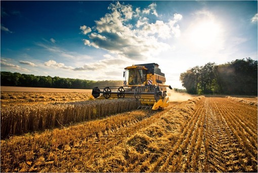 Pac: Più di 81 milioni di euro per oltre 14 mila aziende agricole piemontesi