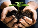 Confagricoltura Piemonte: "Infortuni sul lavoro in calo. L'agricoltura in prima linea nella difesa dei suoi lavoratori”