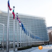 Novara, via le restrizioni Ue sulla Peste suina africana: sollievo per allevatori e filiera