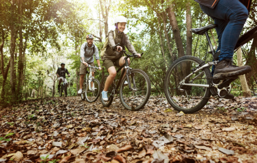 Distretto Turistico dei Laghi: tra festival e sport decolla l’estate nell’alto Piemonte