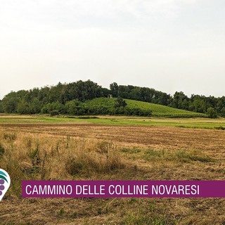 Sette domeniche tra colline, natura e racconti: al via il nuovo Cammina-tür