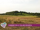 Sette domeniche tra colline, natura e racconti: al via il nuovo Cammina-tür Sette domeniche tra colline, natura e racconti: al via il nuovo Cammina-tür