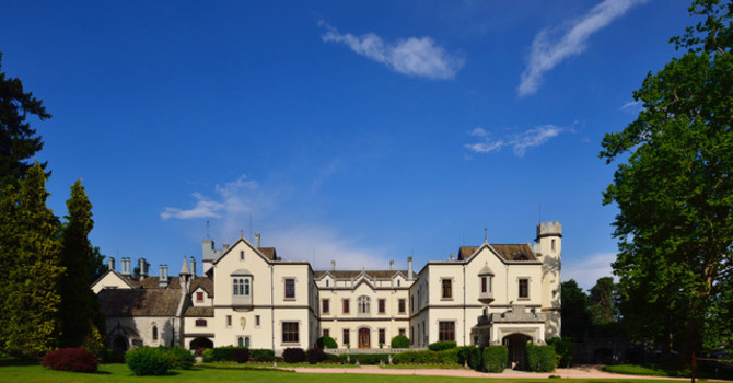 Oleggio Castello, 60 mila zucche trasformano il parco del Castello Dal Pozzo