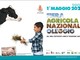 Oleggio celebra 120 anni di Fiera Agricola: torna l’evento con il riconoscimento nazionale