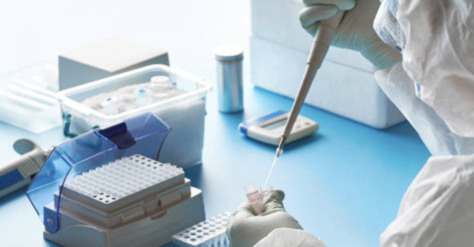 Hantavirus, la regione invia la circolare del ministero ad Asl e professionisti: "Nessun allarme" Hantavirus, la regione invia la circolare del ministero ad Asl e professionisti: "Nessun allarme"