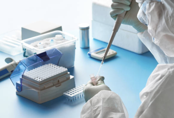Hantavirus, la regione invia la circolare del ministero ad Asl e professionisti: "Nessun allarme" Hantavirus, la regione invia la circolare del ministero ad Asl e professionisti: "Nessun allarme"