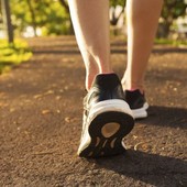“I Lunedì col Parco”: sei giornate di natura e scoperta in Valsesia
