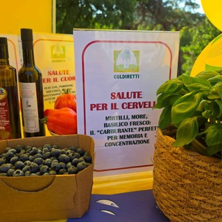 Novara, all’Ospedale Maggiore arriva “Campagna Amica per la Salute”