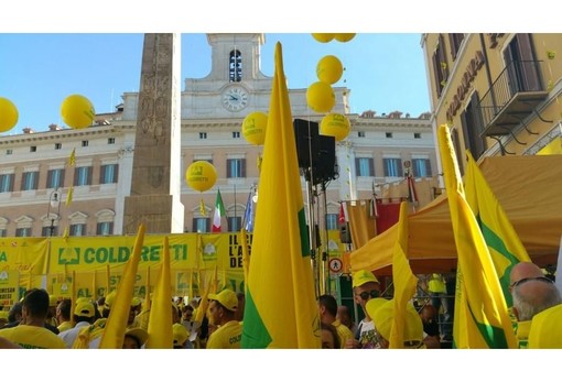 Sos Frutta: martedì il blitz degli agricoltori Coldiretti in piazza Castello a Torino