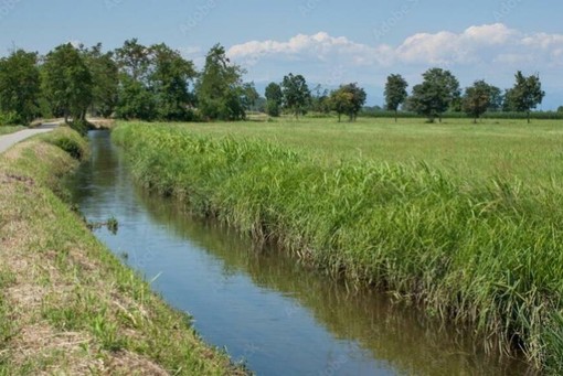 Est Sesia, il Consiglio regionale approva nuove regole per il commissariamento