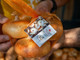 Terra Madre - Salone del gusto 2022, presentazione del Novarese e dei suoi prodotti tipici Terra Madre - Salone del gusto 2022, presentazione del Novarese e dei suoi prodotti tipici