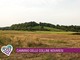 Sette domeniche tra colline, natura e racconti: al via il nuovo Cammina-tür