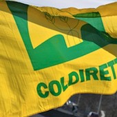 Riso, prezzi in caduta e costi alle stelle: agricoltori in piazza a Vercelli