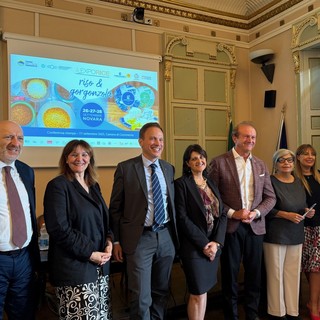 Novara celebra riso e gorgonzola: torna ExpoRice dal 26 al 28 settembre